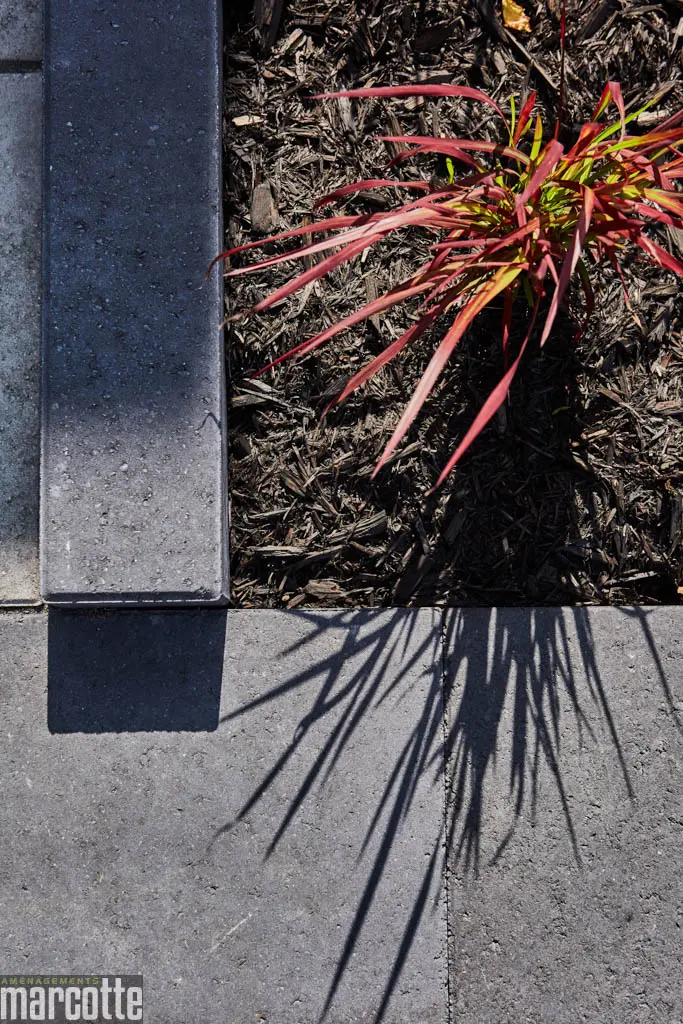 Landscaping a modern-style entrance