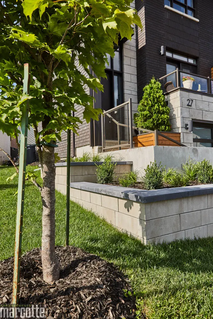 Complete Landscaping of a front and back yard