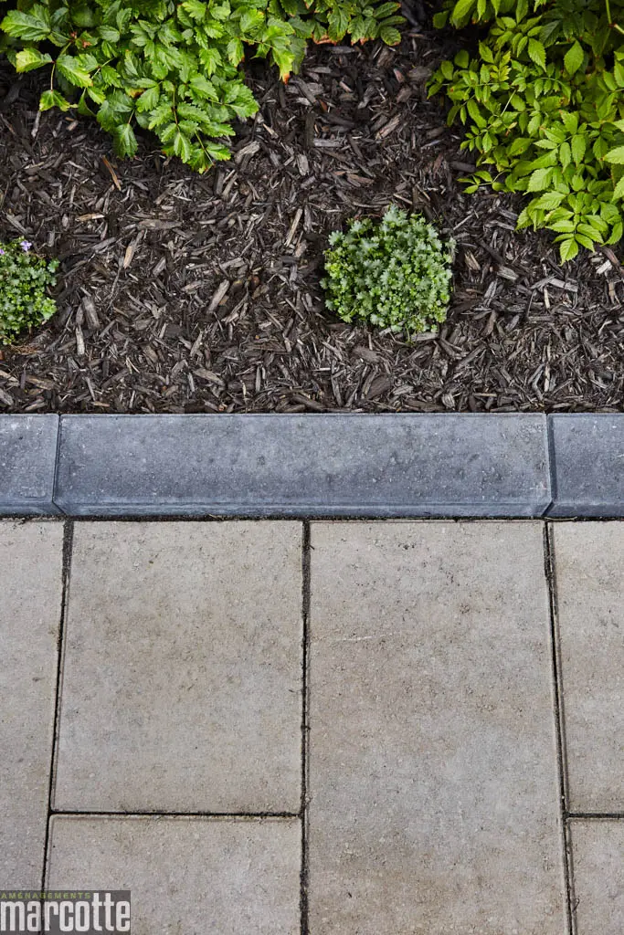 Complete Landscaping of a front and back yard